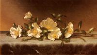 Heade, Martin Johnson - Cherokee Roses On A Light Gray Cloth